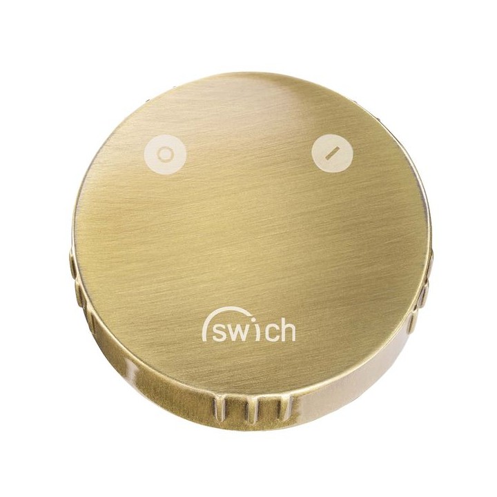 Abode AT2109 Swich Diverter Valve Round Handle with Classic Filter Brushed Brass