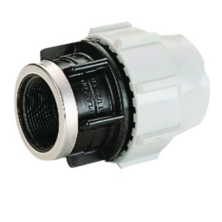 Plasson Mechanical Female Adaptor 20 mm x 1/2 inch 7030C10