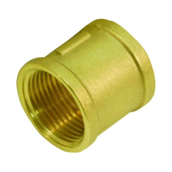 Brass Socket 1/2in with British Standard Pipe Threads