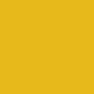 Dulux Trade Vinyl Matt 5L Molten Yellow