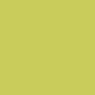 Dulux Trade Vinyl Matt 5L Luscious Lime
