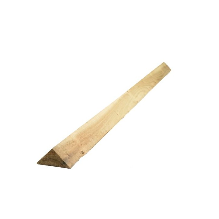 47mm x 50mm x 4.2m Green Treated Arris Fence Rail 2EX
