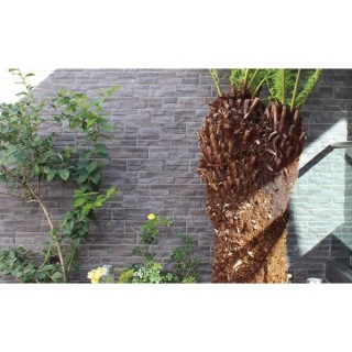 Talasey Rok Porcelain Walling Black 0.75m2 Project Pack