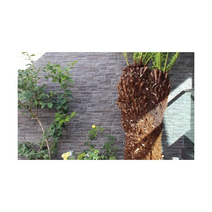 Talasey Rok Porcelain Walling Black 0.75m2 Project Pack