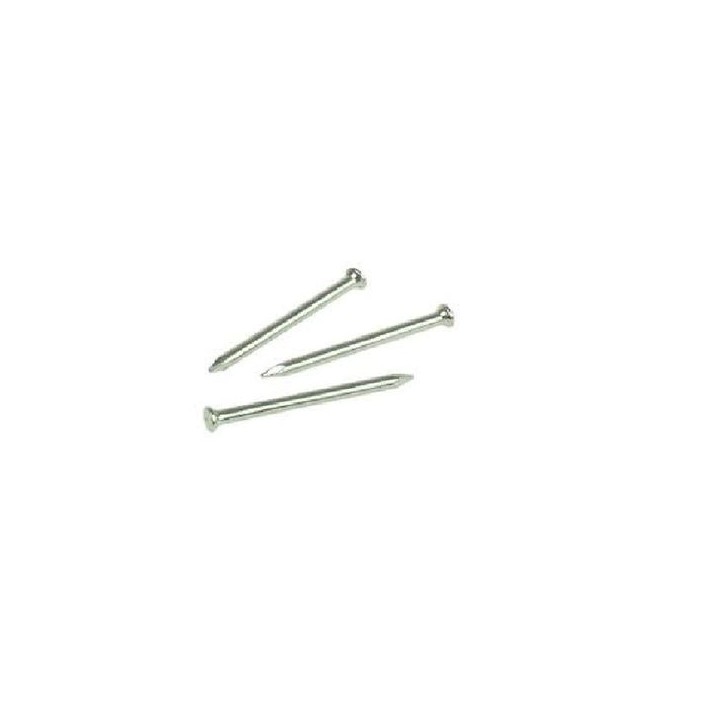 Rawlplug 2.5mm x 40mm Masonry Nails Qty 100