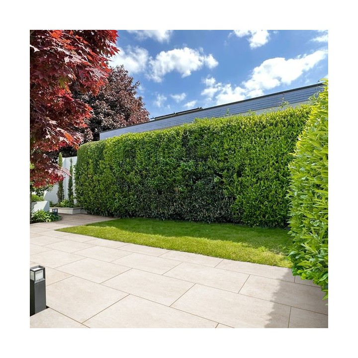 Global Stone Seran Porcelain Paving Oatmeal 900 x 600mm