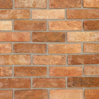 Brick Slips Tile Blend 89 - Sample Panel