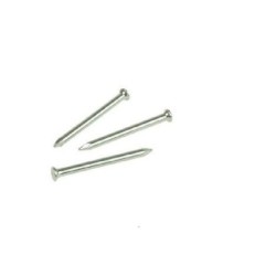 Rawlplug 2.5mm x 30mm Masonry Nails Qty 100
