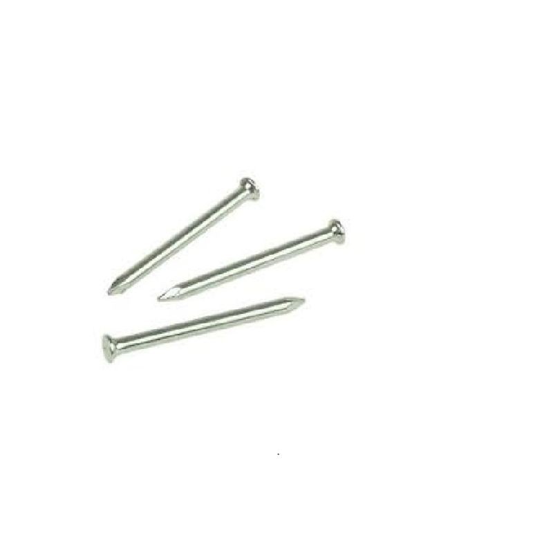 Rawlplug 2.5mm x 30mm Masonry Nails Qty 100