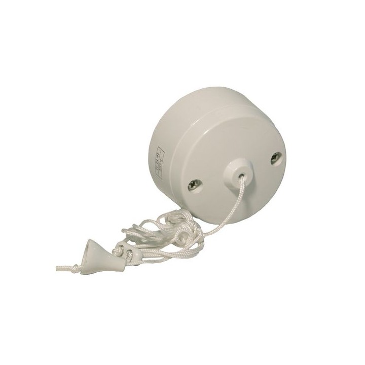 4Trade Ceiling Switch 6 Amp 2 Way