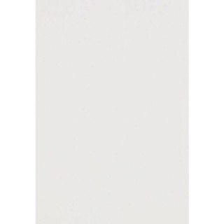 Customer Sample Door for Value Slab Standard Matt White 396mm x 570mm - FKKM1026