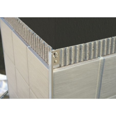 Genesis 10mm Polished Chrome Straight Edge Tile Trim ESA100.91