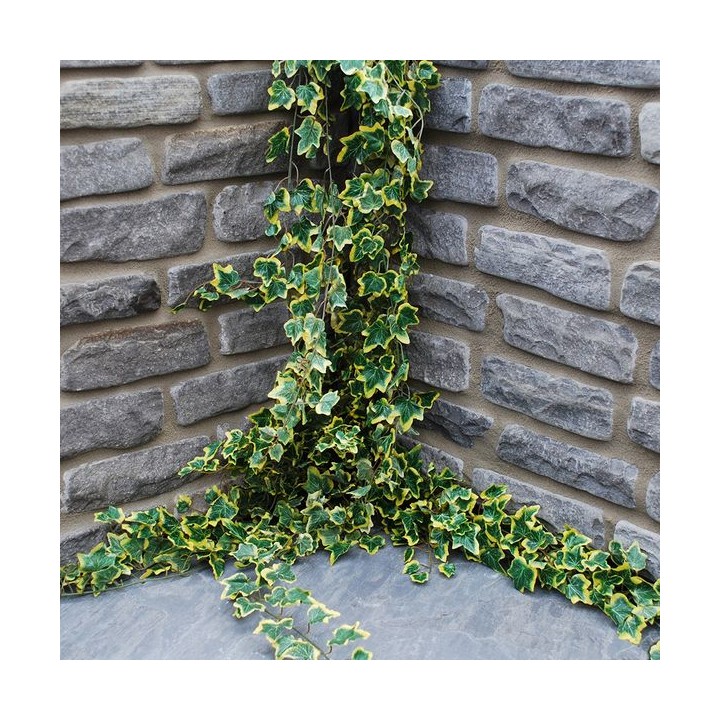 Global Stone Old Rectory Walling Monsoon 215 x 100mm