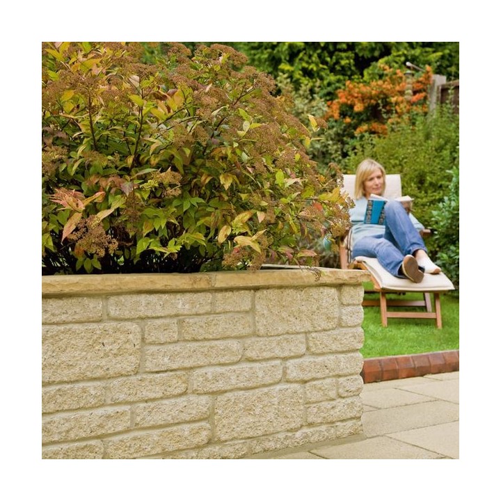 Marshalite Pitched Buff New Face Walling 440mm x 100mm x 140mm