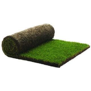 Rolawn Medallion Finest Multi Purpose Grass Turf Roll 1m2 RB000010