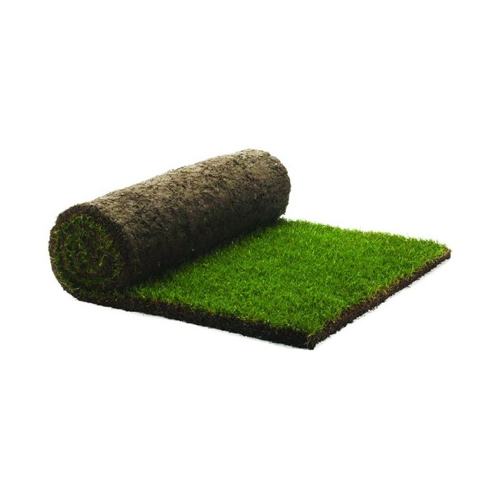 Rolawn Medallion Finest Multi Purpose Grass Turf Roll 1m2 RB000010