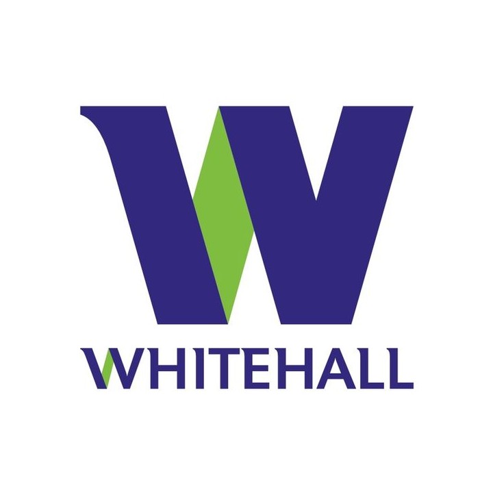 Whitehall BMGUN Gun for Artemis Worktops Adhesives