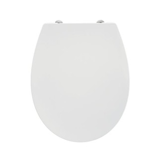 Sandringham 21 Standard Seat and Cover Plastic Hinges E131601