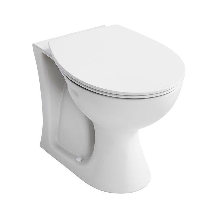 Armitage Shanks Sandringham 21 Back to Wall Toilet Pan E897401
