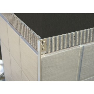 Genesis 12mm Polished Chrome Straight Edge Tile Trim ESA120.91