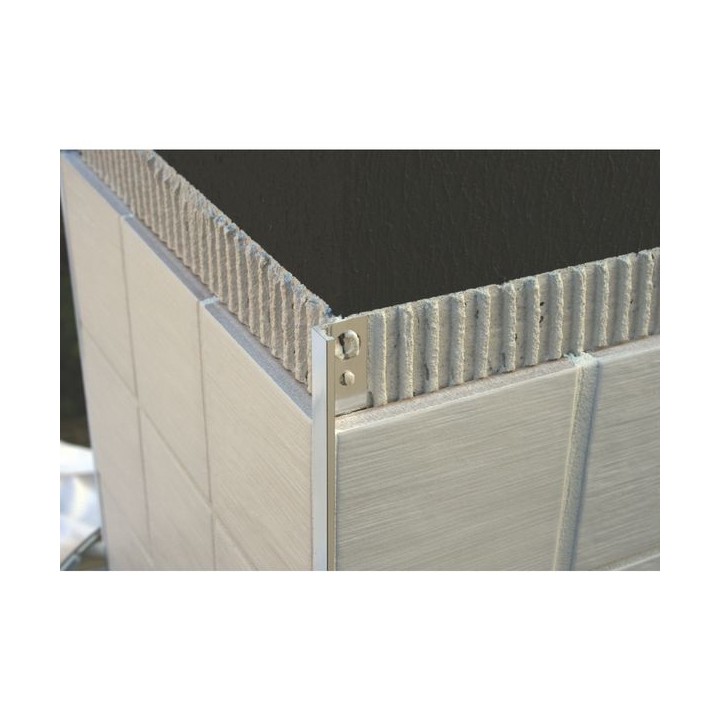 Genesis 10mm Polished Chrome Straight Edge Tile Trim ESA100.91