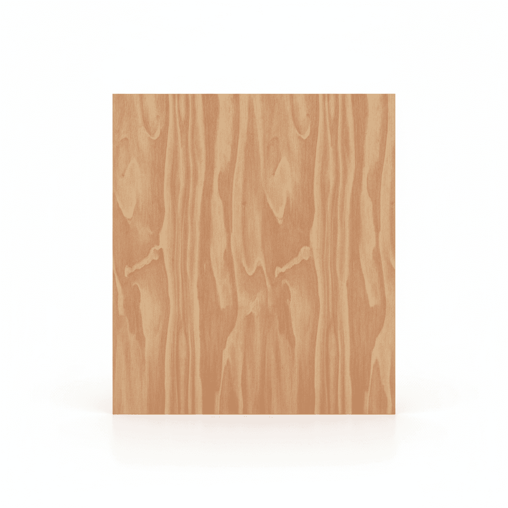 Sheet